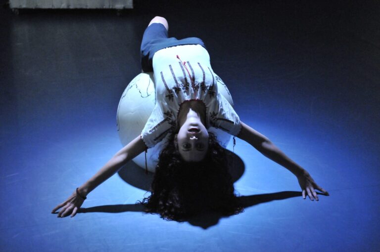 Compania de teatru-dans Microbis – Interviu cu un ego, 2013