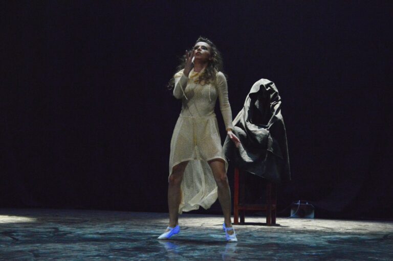 Compania de teatru-dans Microbis – Damnatul, 2014