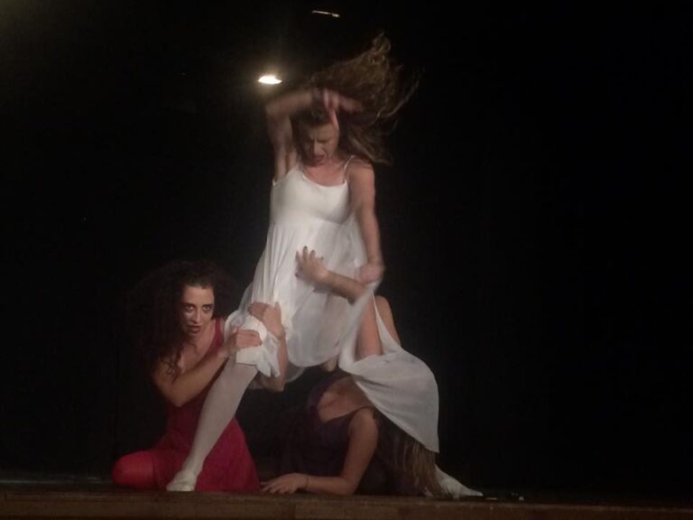 Compania de teatru-dans Microbis – Colecționarul, 2017