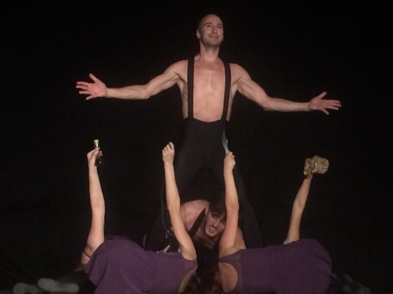 Compania de teatru-dans Microbis – Colecționarul, 2017